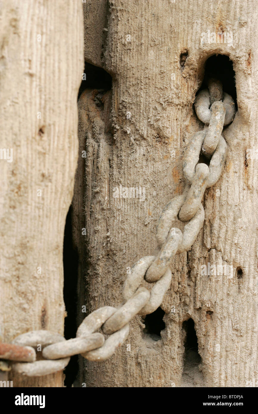 Close-up di un ferro da stiro a catena attaccata ad un palo di legno Foto Stock