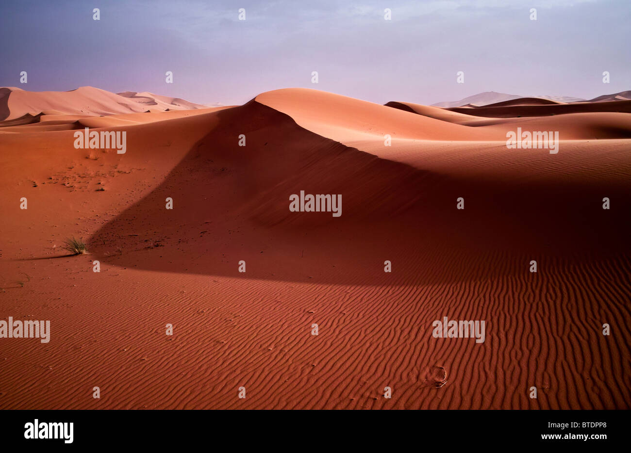 Dune di sabbia rossa nel deserto del Sahara Foto Stock