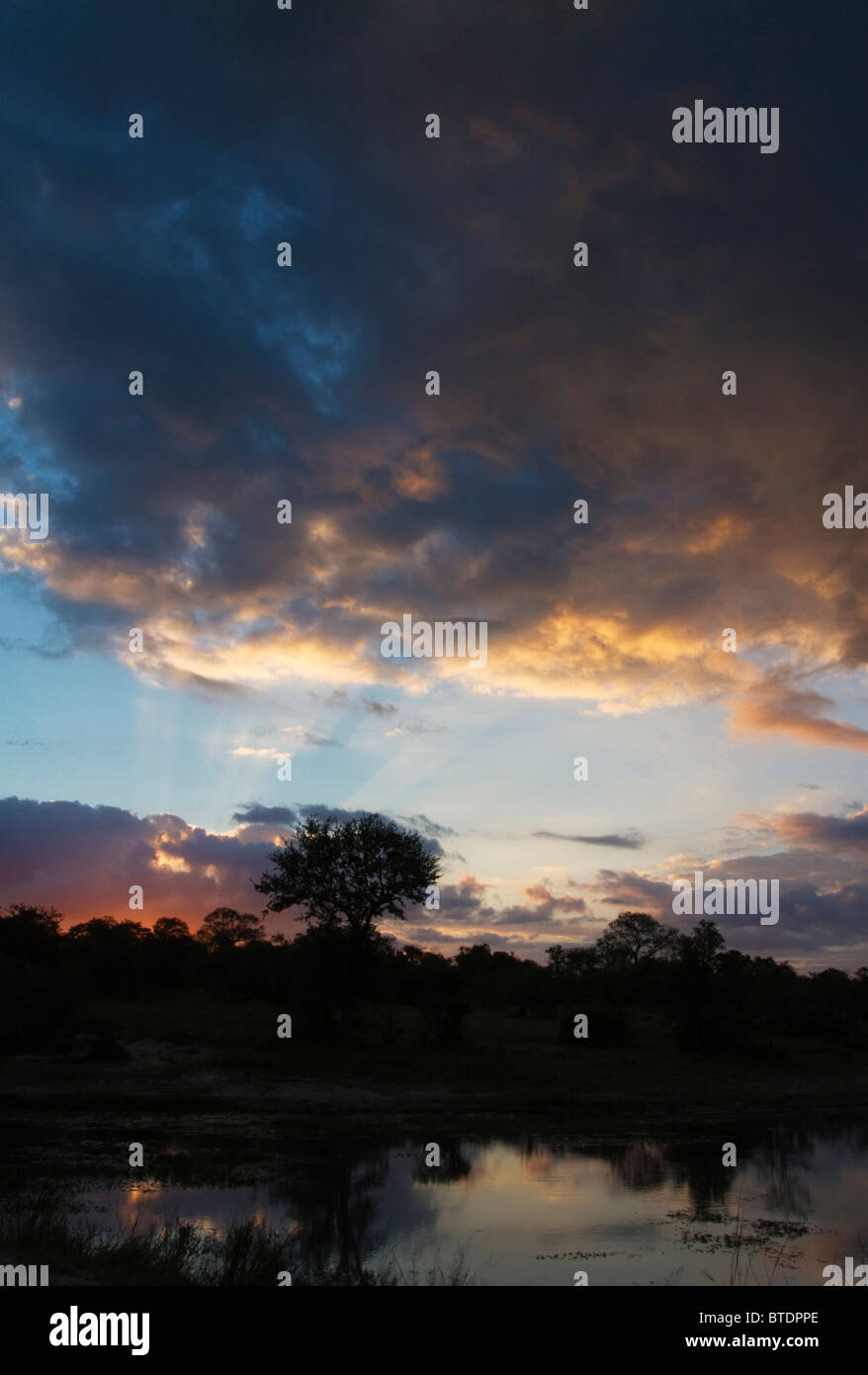 Sunset silhouette di alberi di Bushveld riflessa in un fiume Foto Stock