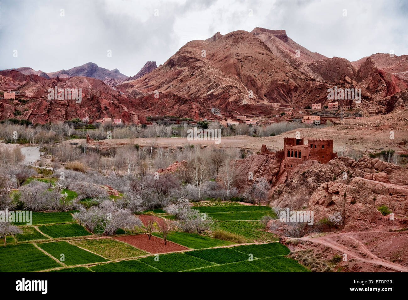Campi coltivati e un vecchio Berber Kasbah ai piedi delle colline di metà delle montagne Atlas Foto Stock