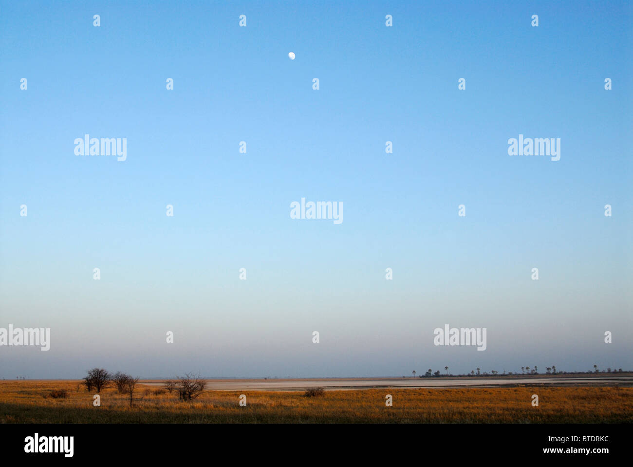 Vista panoramica del Kalahari paesaggio con luna Foto Stock