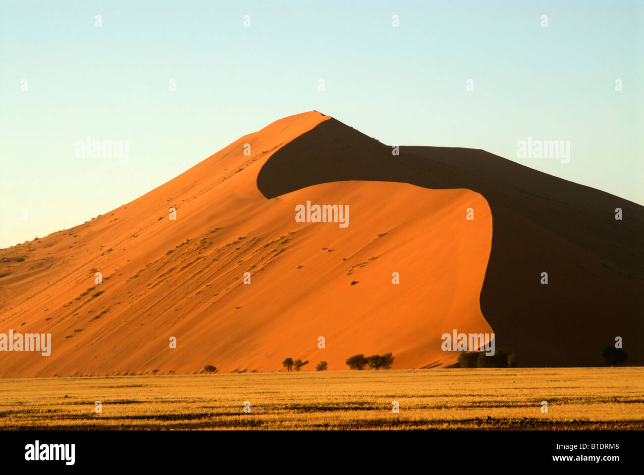 Vista panoramica di sabbia e dune Foto Stock