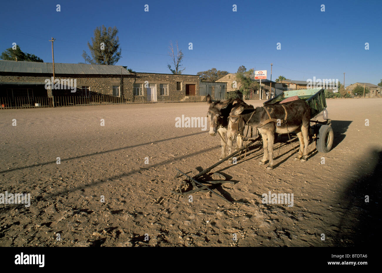 Due asini legati a un carrello in una ampia strada polverosa Foto Stock
