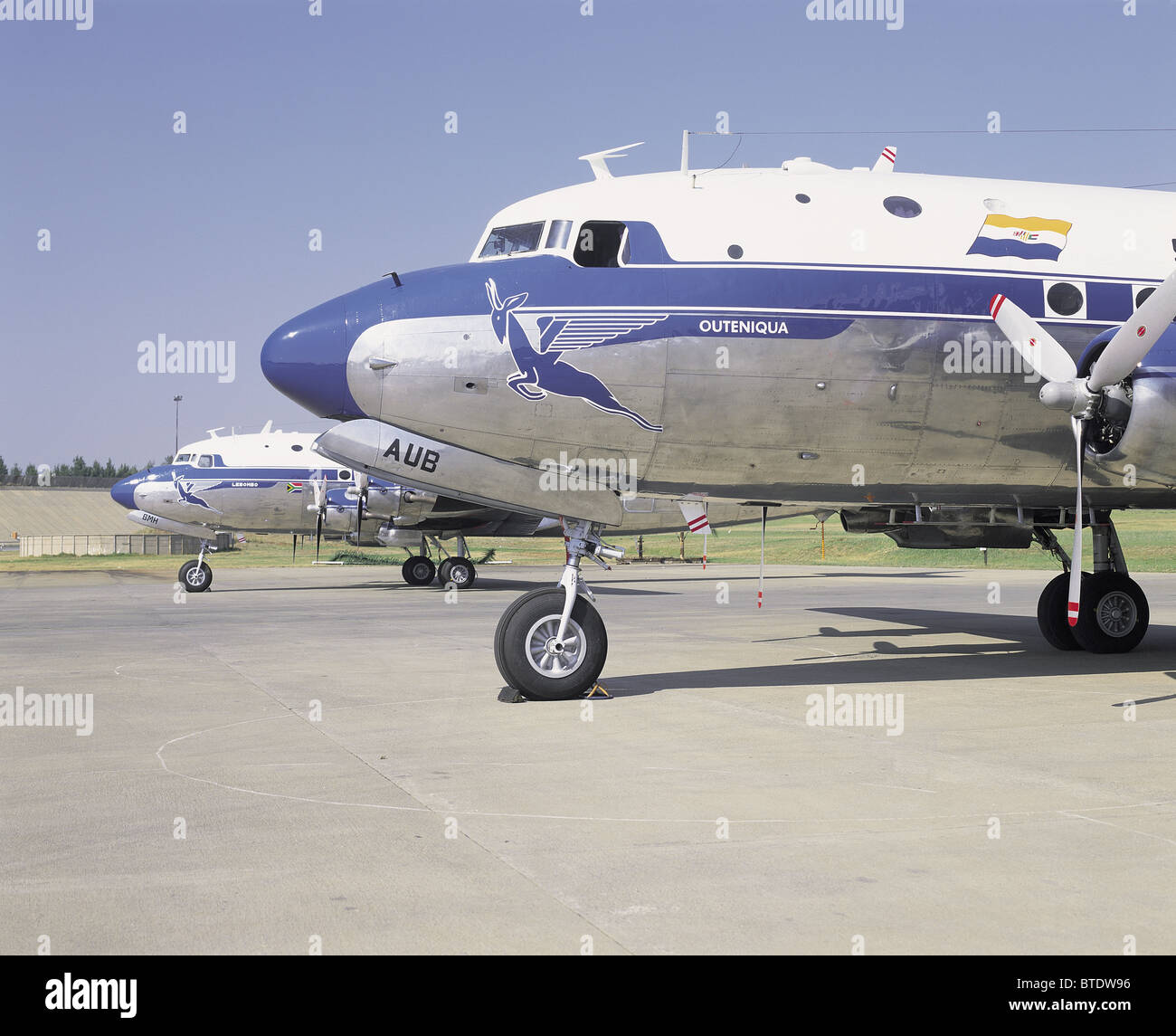 Il Springbok visto qui usato per essere il simbolo usato per la South African Airways Foto Stock