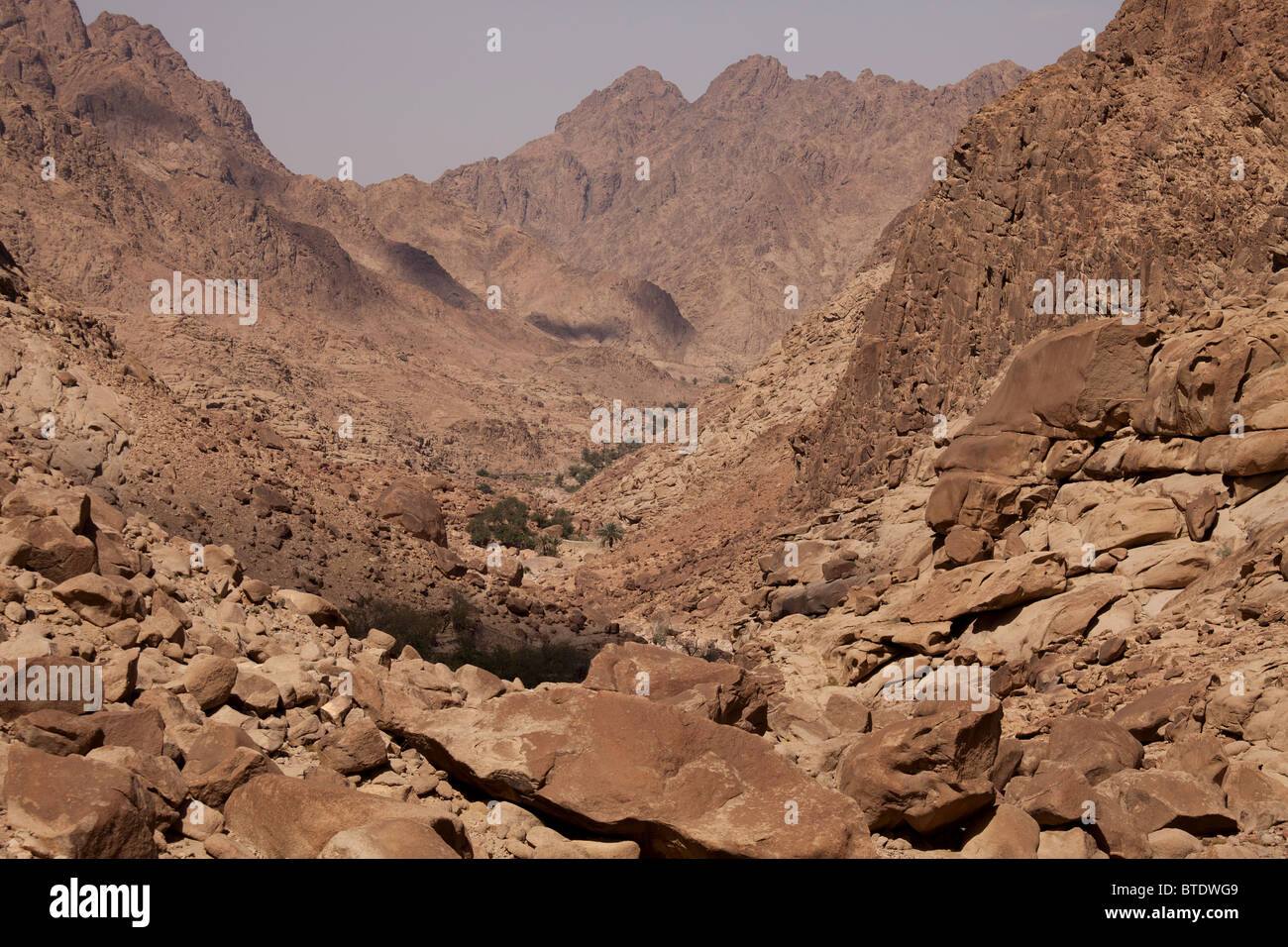 La fertile Wadi Tilah Valley vicino a Saint Katherine o El Miga village, Sinai, Egitto, Africa Foto Stock