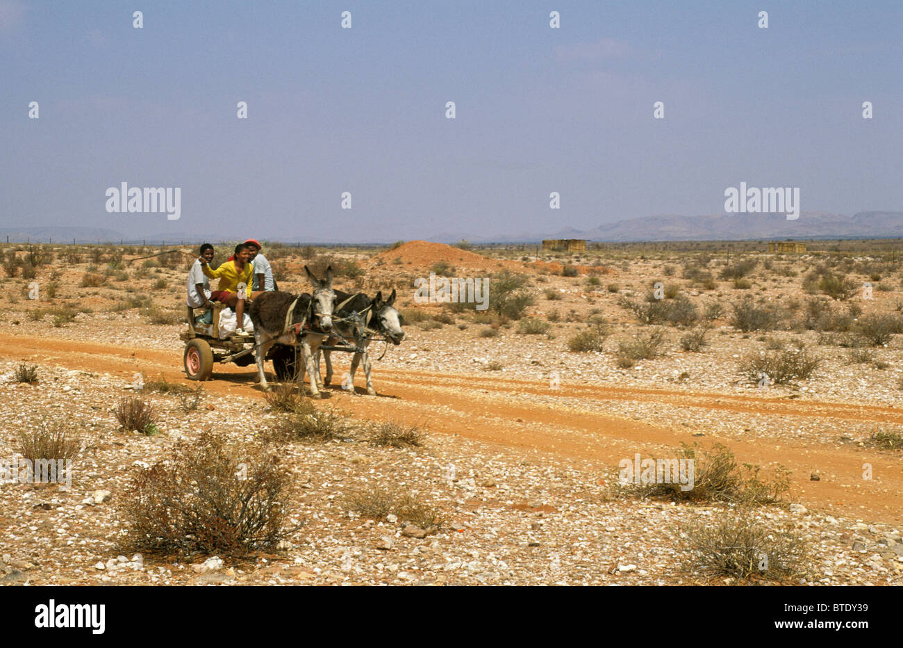 Tre bambini la guida un asino carrello lungo una strada sterrata Foto Stock