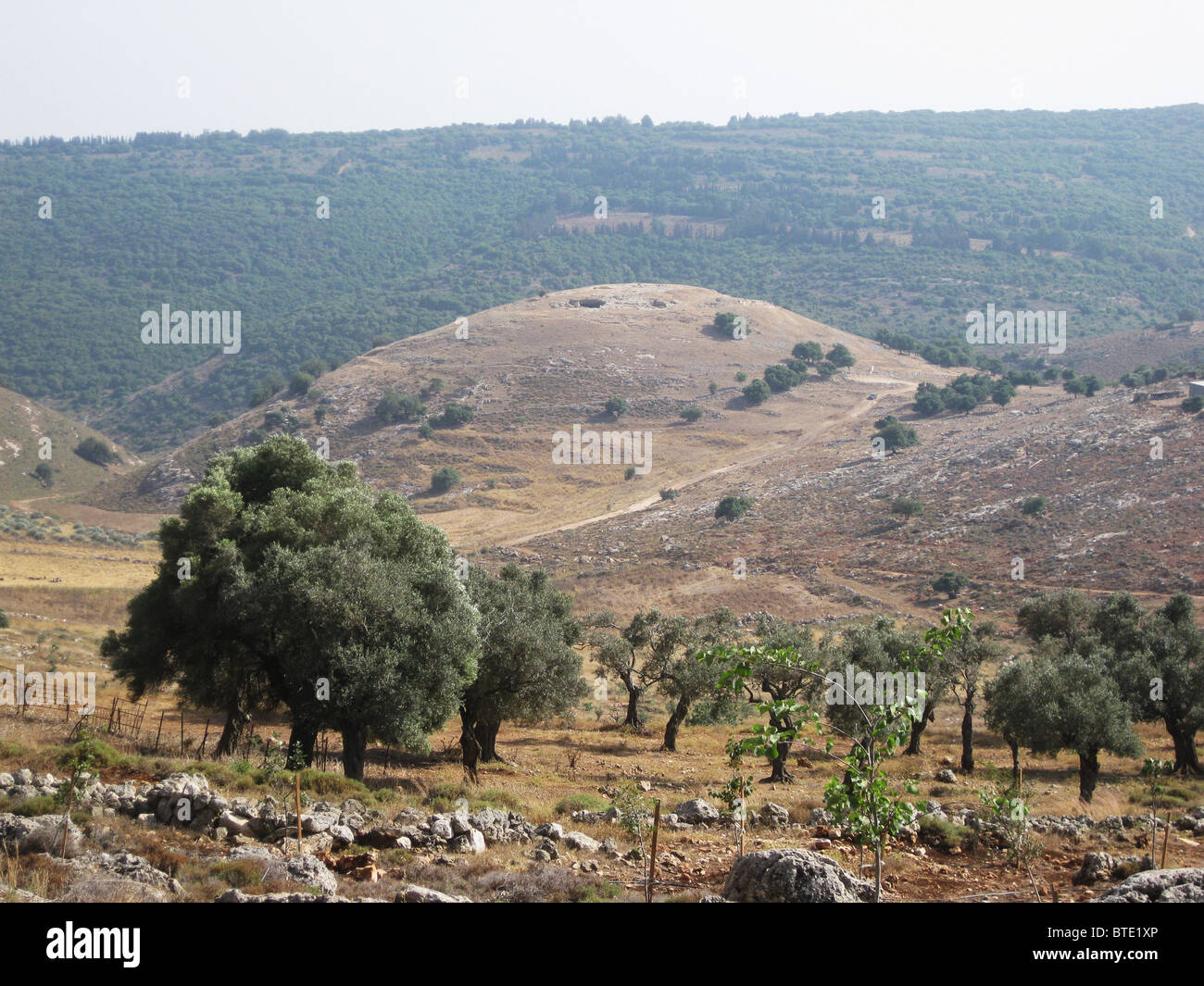 5499. Yodphat, antica città situata nel sud della Galilea. Yodphat era uno dei centri del grande rivolta contro i Romani Foto Stock