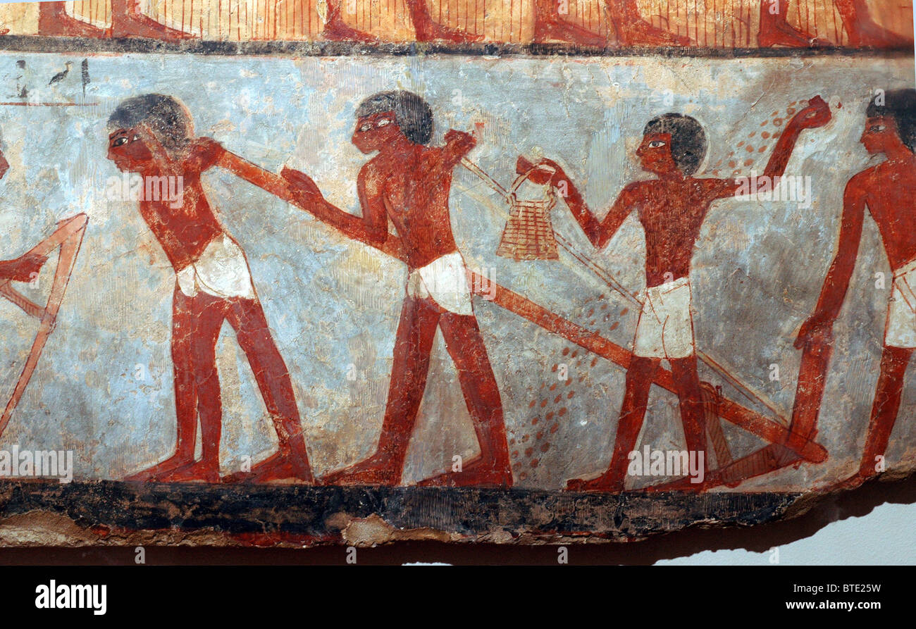 5352. Affresco raffigurante gli agricoltori egiziani l'aratura e la semina. Tebe (Egitto) c. 1450 BC Foto Stock