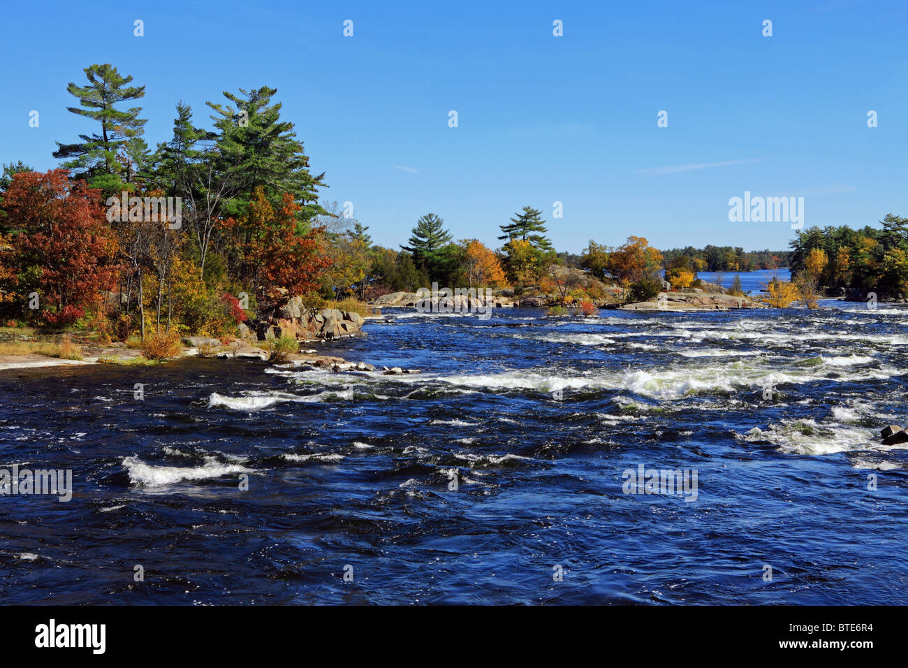 Tipico scudo canadese paesaggio di laghi Kawartha in autunno Foto Stock