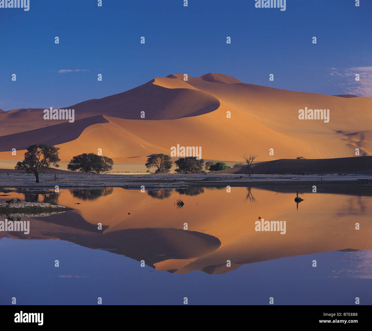 Il deserto del Namib dopo il miglior precipitazioni in 14 anni Foto Stock