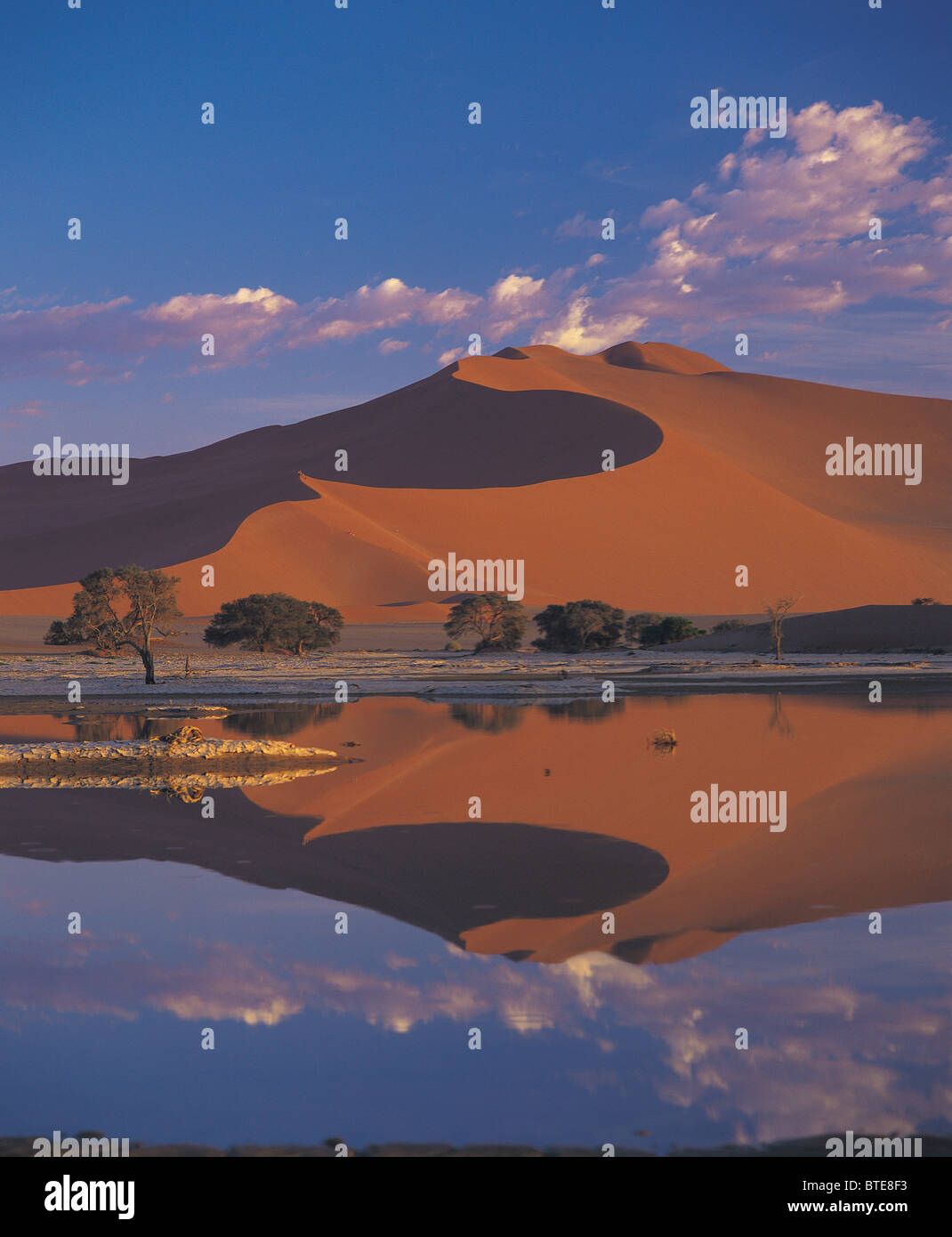 Il deserto del Namib dopo il miglior precipitazioni in 14 anni Foto Stock