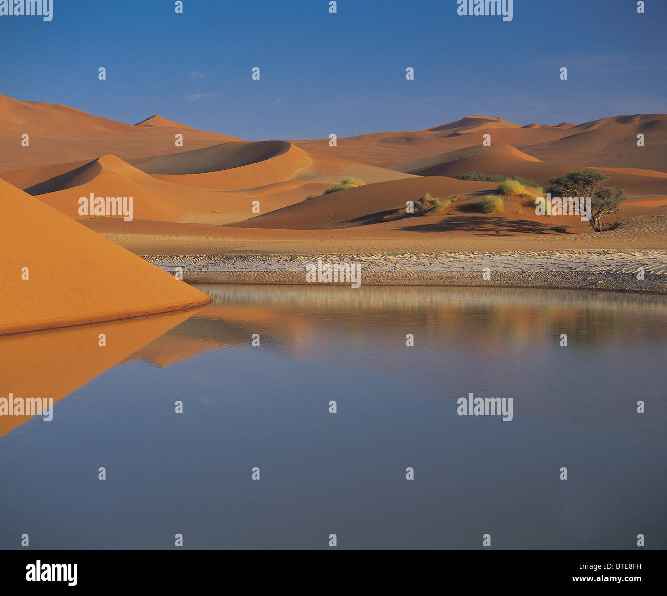 Una crosta di argilla le forme come il livello di acqua si inclina in Sossusvlei del Namib Desert Foto Stock