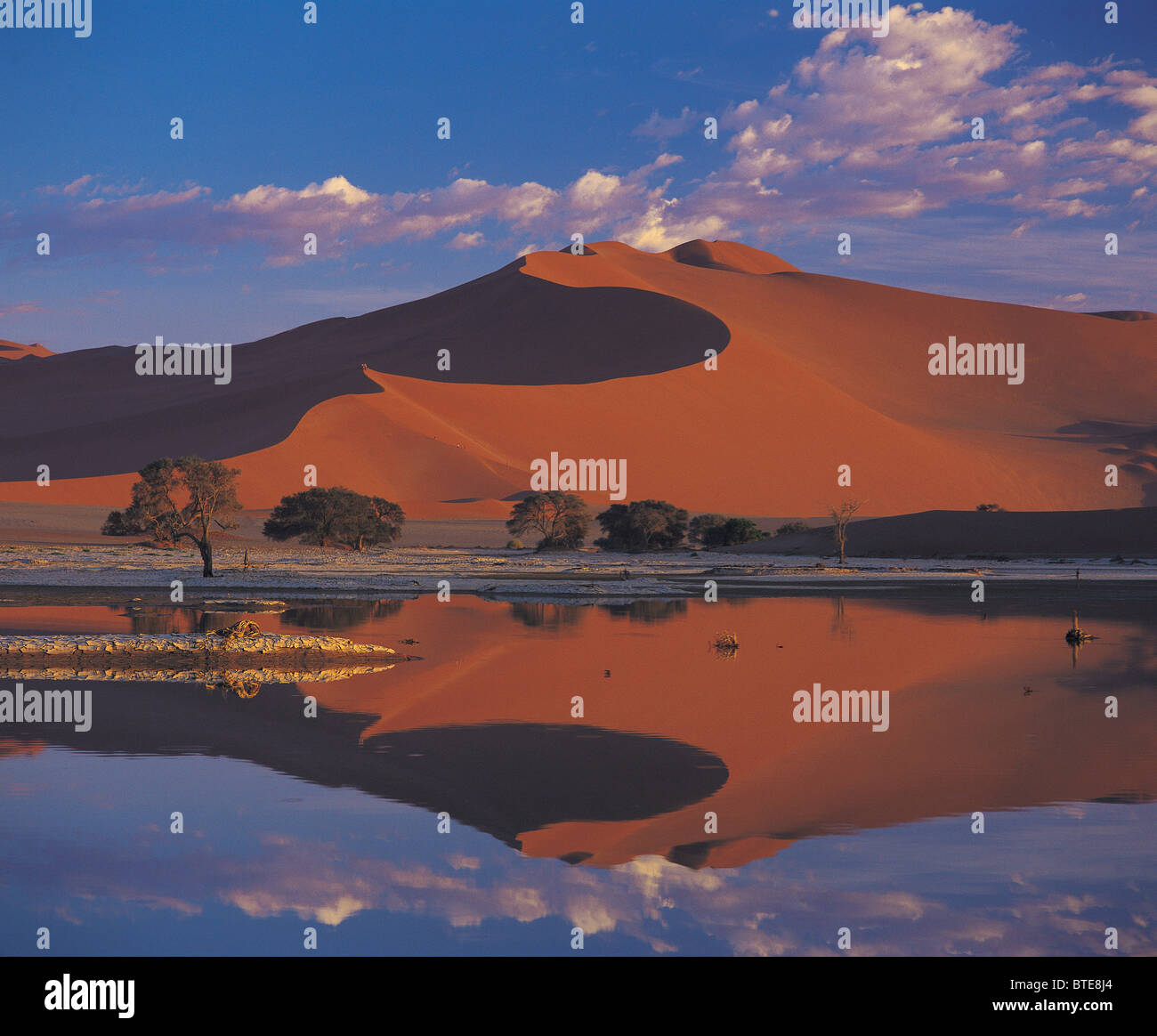 Il deserto del Namib dopo il miglior precipitazioni in 14 anni Foto Stock