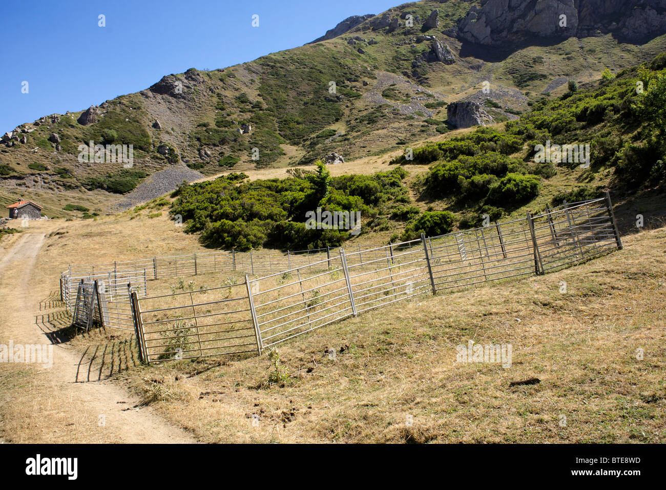 Majada de Bustantivo stock penna, Picos de Europa, Spagna, alta montagna, pascoli di montagna, terra, parco nazionale, all'aperto, Foto Stock