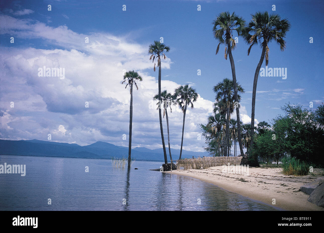La ricerca tropicale con la riva del Lago Malawi Foto Stock