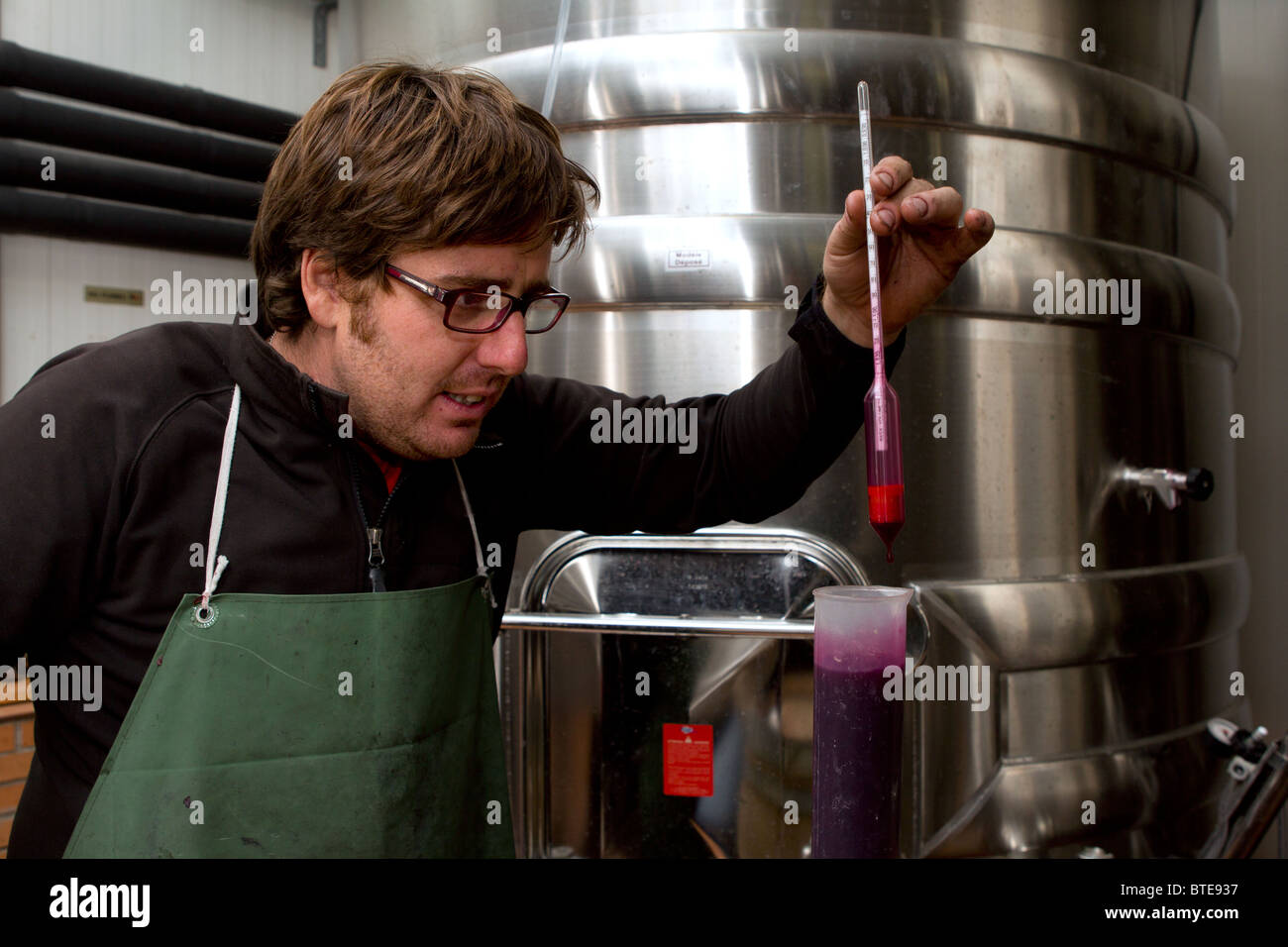 Uomo che utilizza un densimetro per misurare la gravità specifica del vino rosso in una vinificazione fabbrica in Spagna Foto Stock