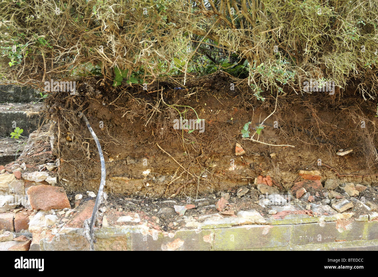 Suolo esposto e cavo in fibra di vetro dopo aver eliminato il vecchio muro di mattoni. Foto Stock