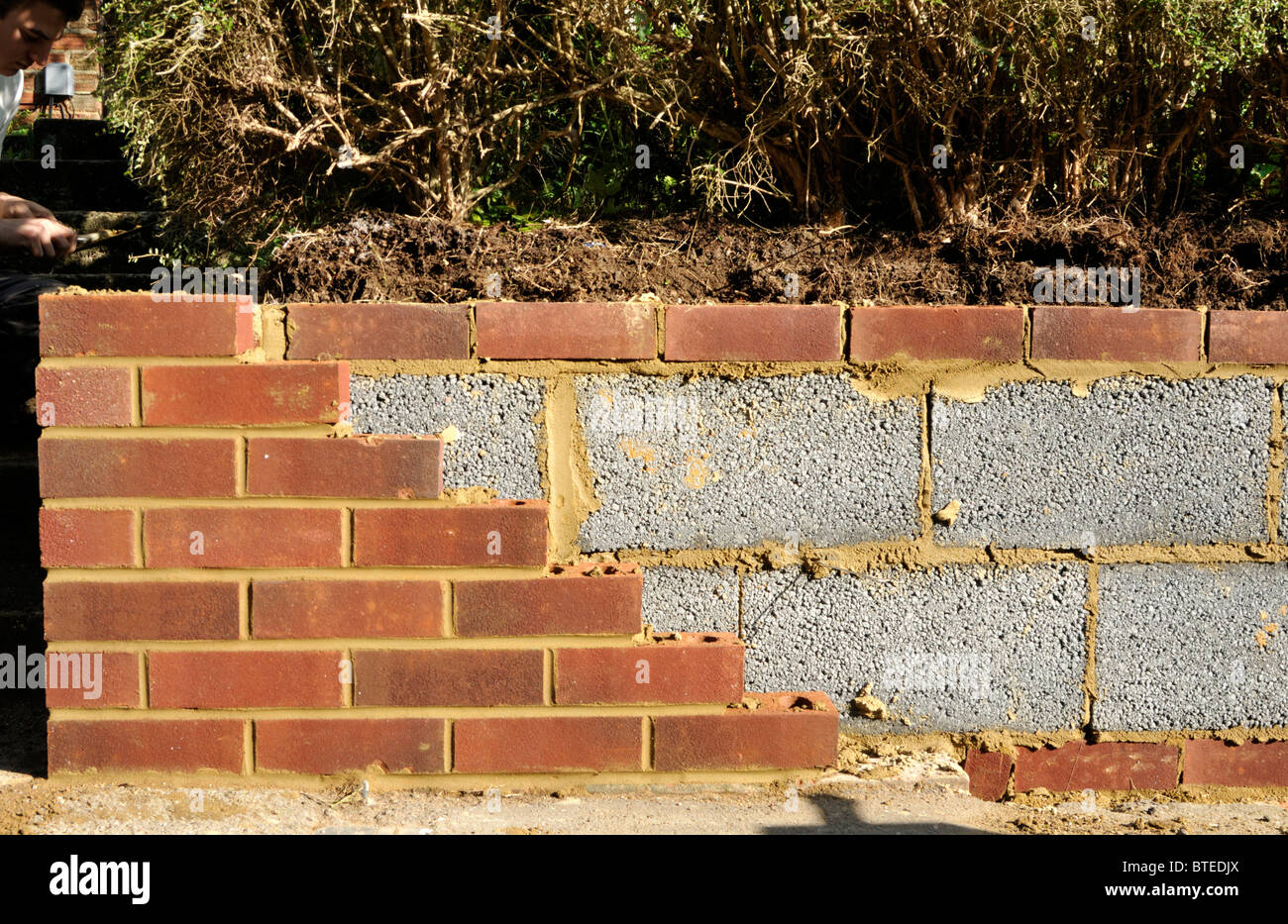 Il nuovo giardino con la parete interna dei blocchi in calcestruzzo ed esterna di mattoni rossi. Regno Unito. Foto Stock