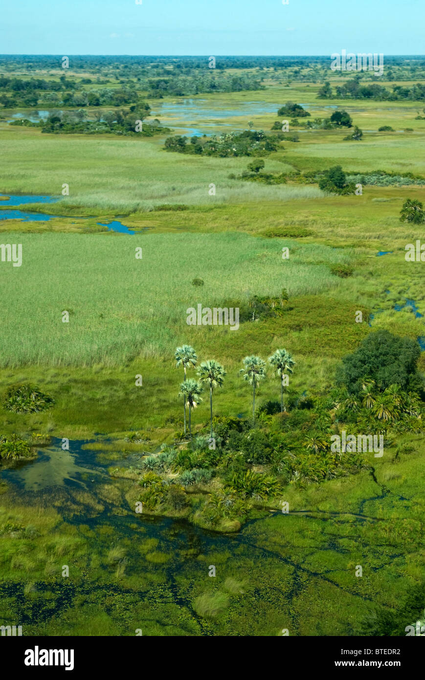 Antenna vista panoramica del delta dell'Okavango Foto Stock