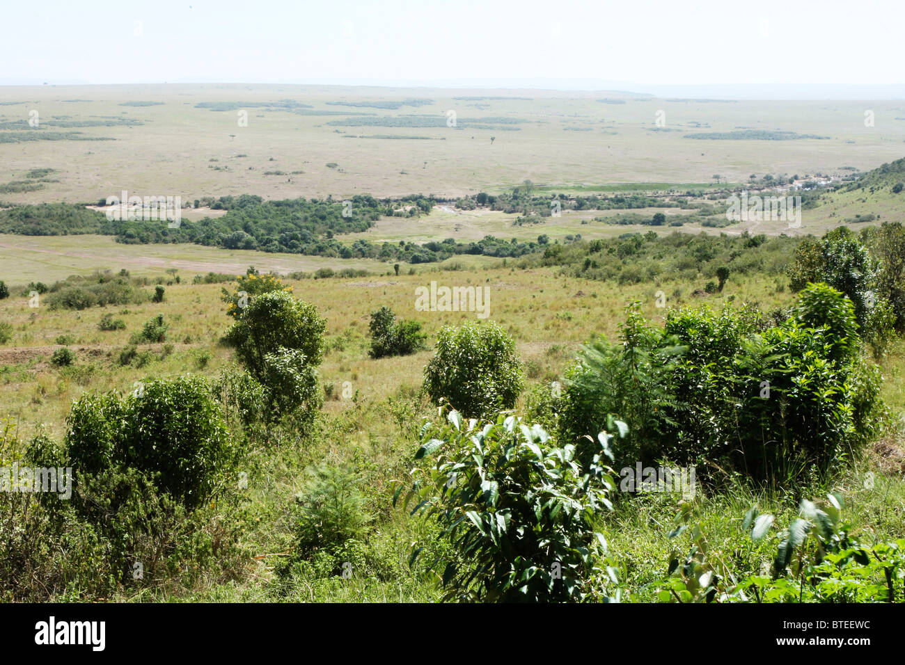 Una vista della savana scena sotto la Serena Safari Lodge oltre il Masai Mara Foto Stock