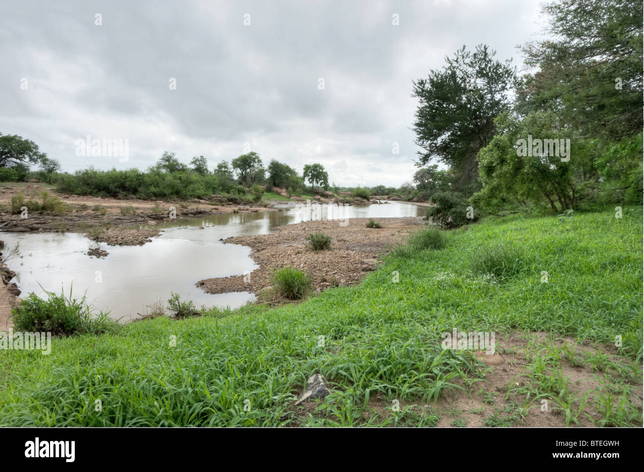 Vista del fiume Shingwedzi su una mattina nuvoloso Foto Stock