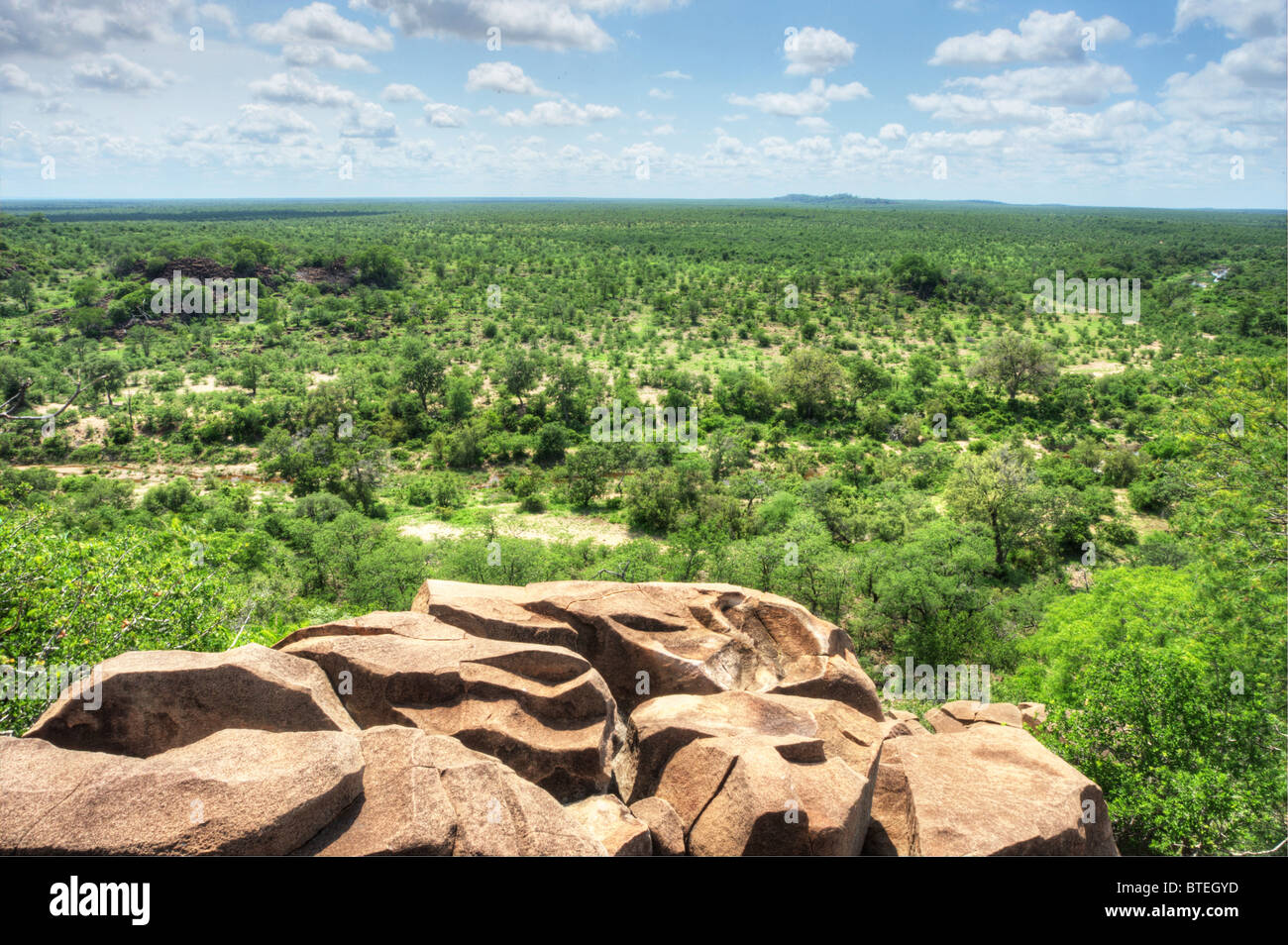 Vista dal punto di vista Bateleur oltre il lowveld nel Parco Nazionale di Kruger Foto Stock