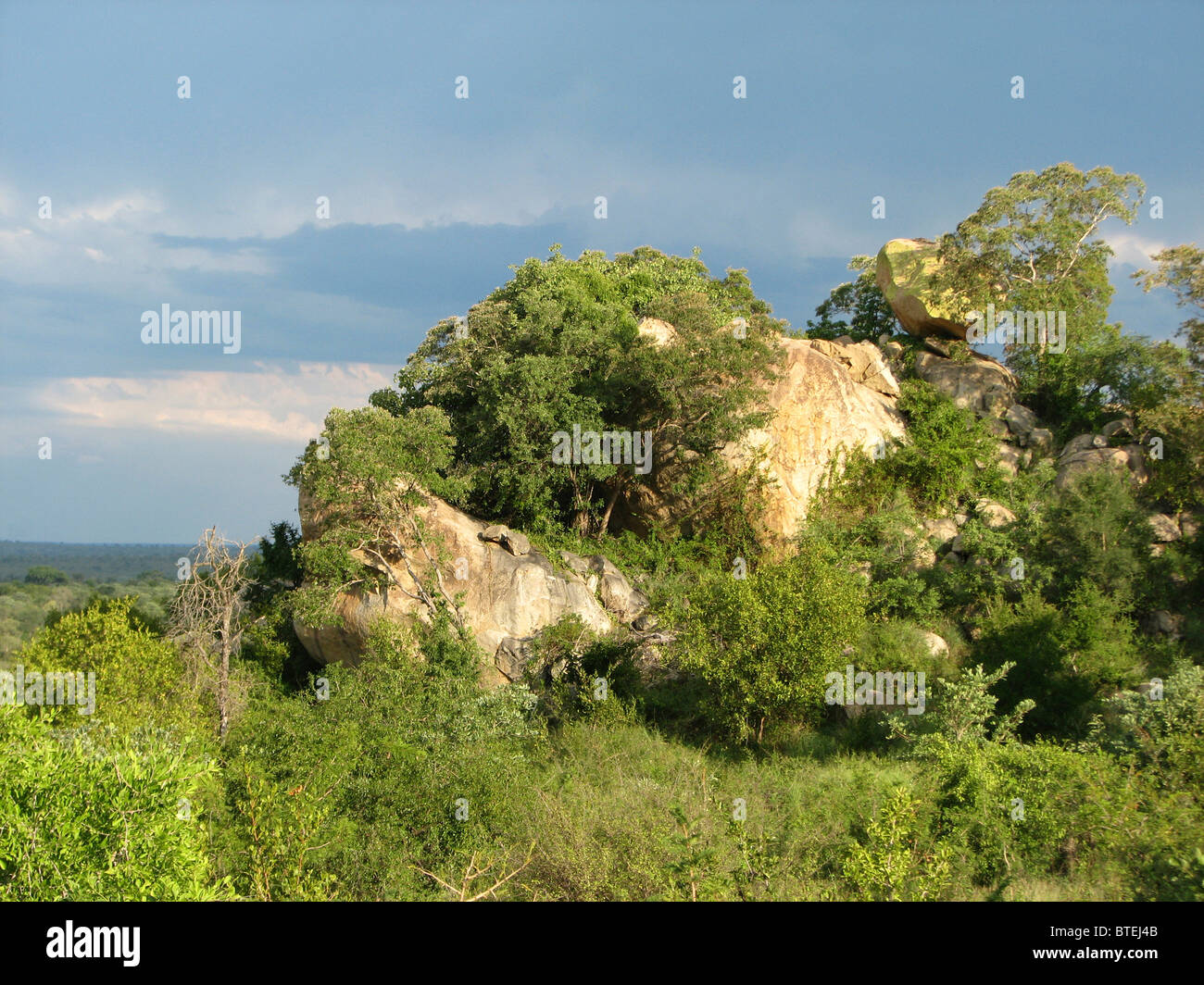 Vista panoramica di granito koppies nella parte meridionale del Parco Nazionale di Kruger Foto Stock