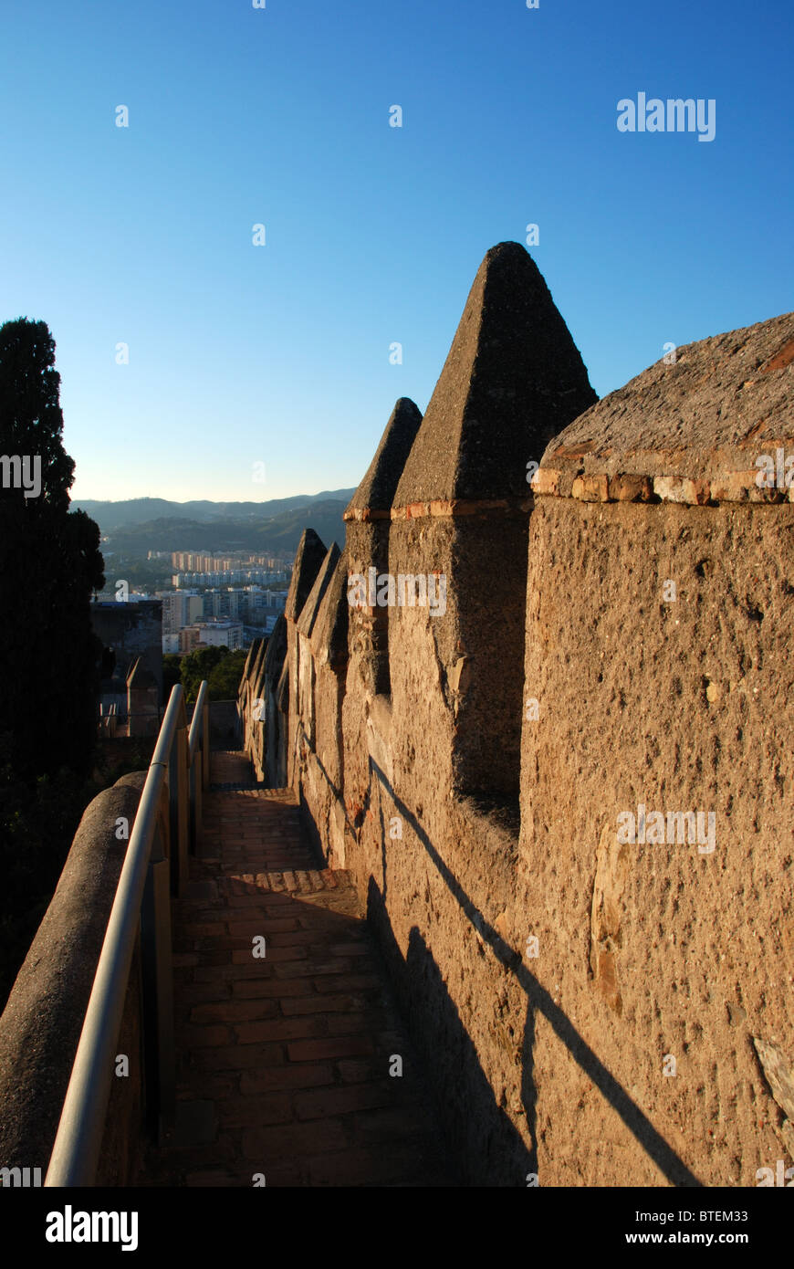 Merli, castello di Gibralfaro, Malaga, Costa del Sol, provincia di Malaga, Andalusia, Spagna, Europa occidentale. Foto Stock