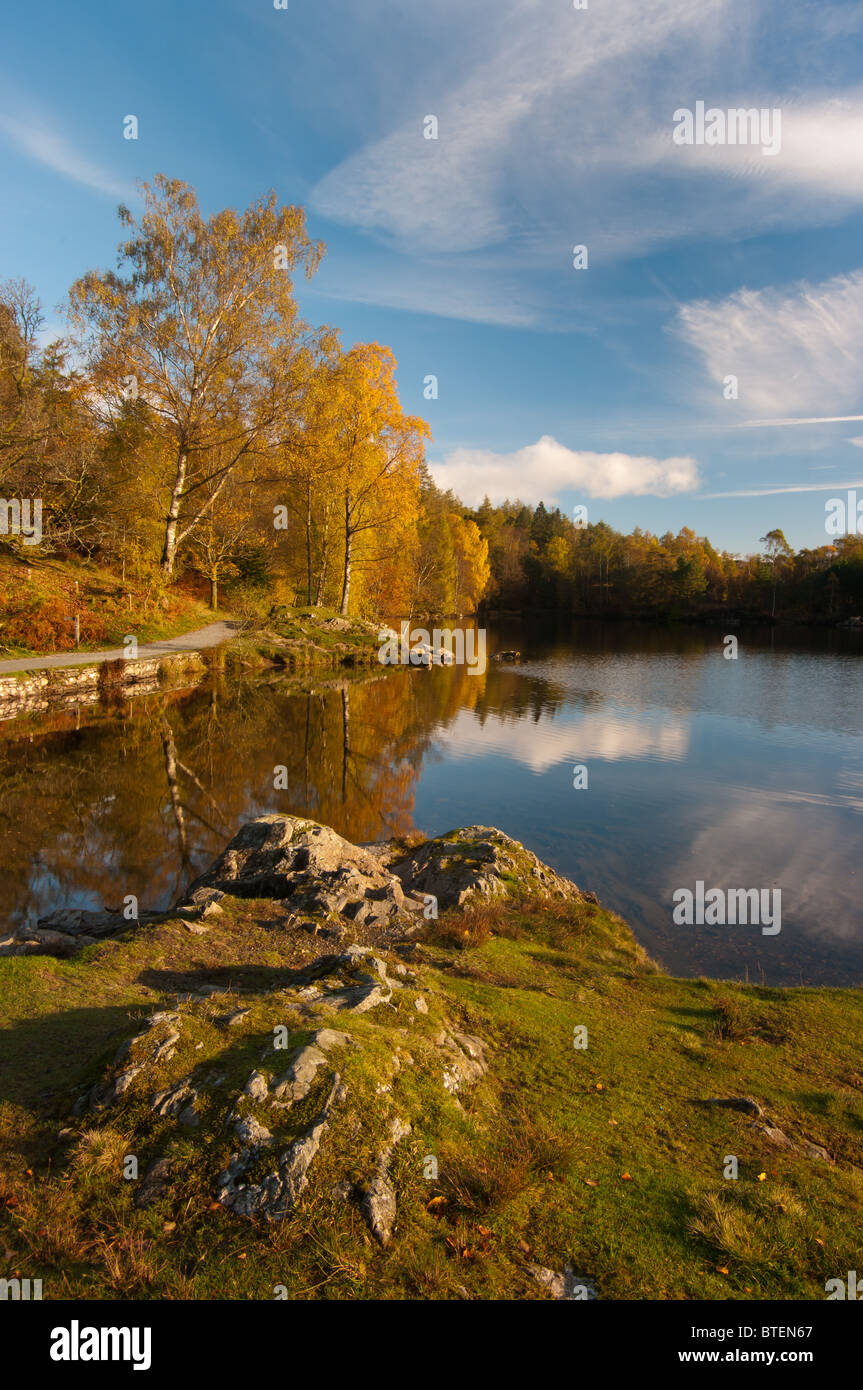 Tarn Hows colori autunnali Foto Stock