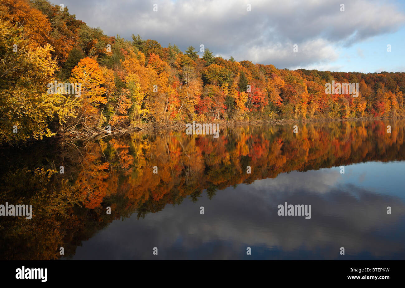 Il fogliame di autunno sul fiume Connecticut in Northfield, Massachusetts Foto Stock