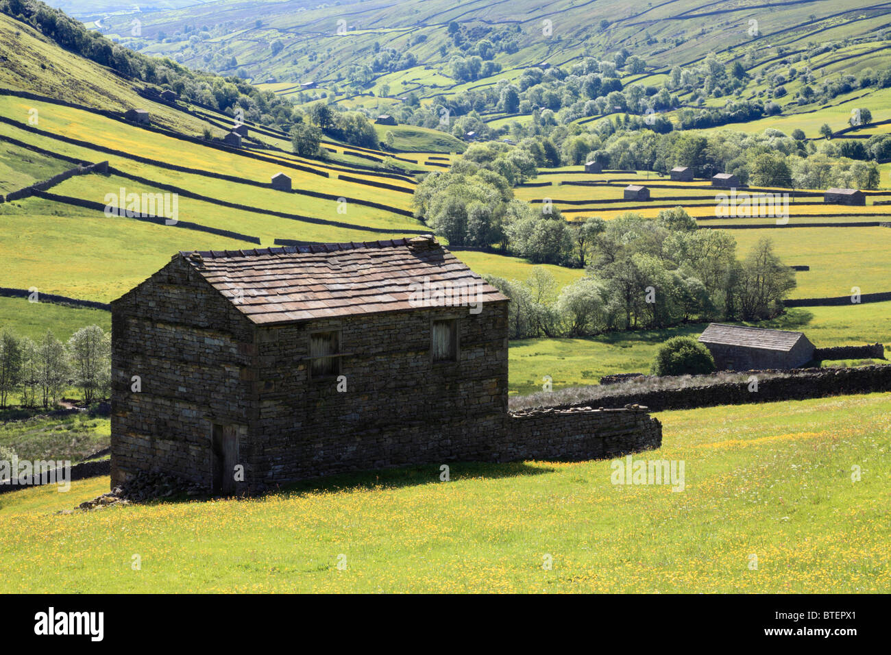 Granai in Swaledale, Yorkshire Dales National Park Foto Stock