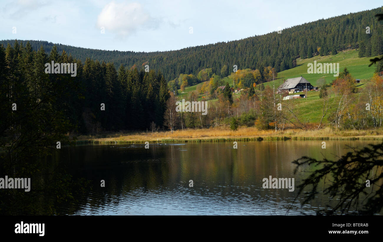 Agriturismo nella Foresta Nera Foto Stock