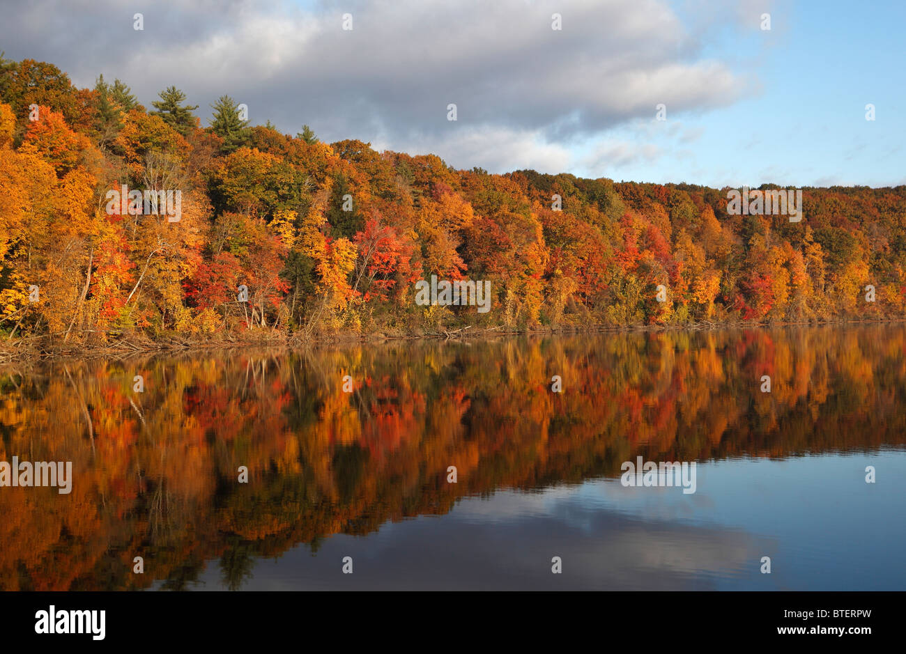 Il fogliame di autunno sul fiume Connecticut in Northfield, Massachusetts Foto Stock