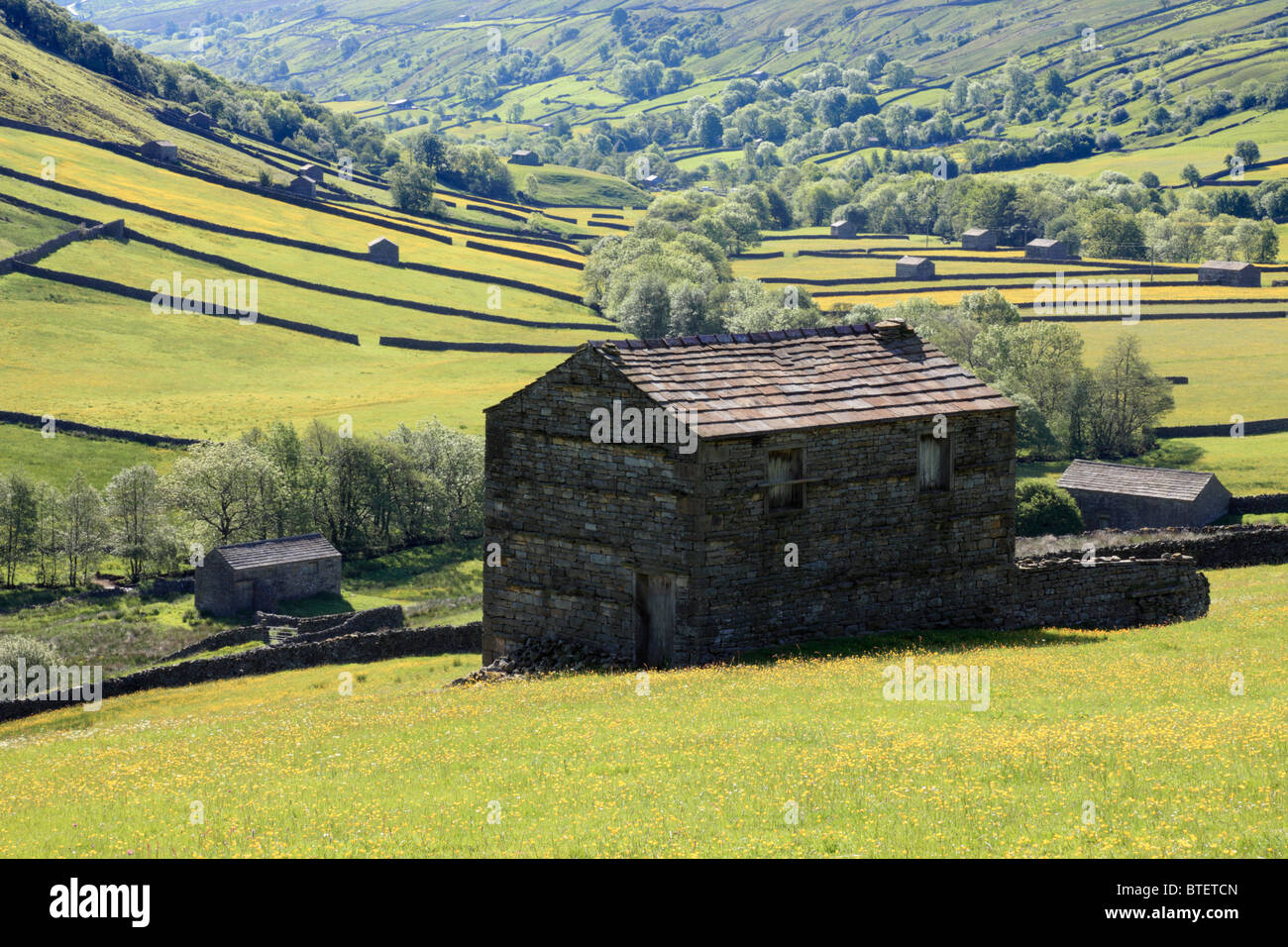 Granai in Swaledale, Yorkshire Dales National Park. Foto Stock