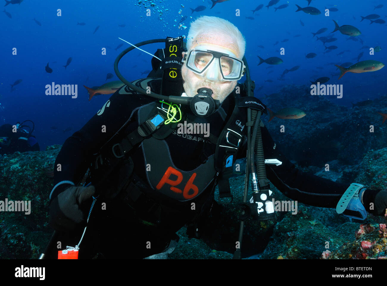 L'uomo subacqueo in possesso di una roccia a isola di Darwin, Galapagos, Ecuador Foto Stock