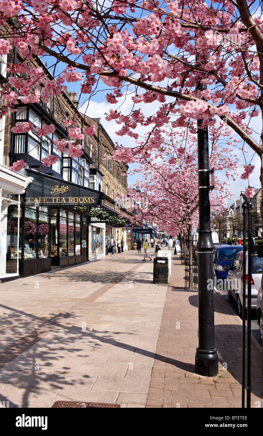 Il Grove a Ilkley, tra cui la famosa Betty's Cafe, West Yorkshire, Regno Unito. La molla Foto Stock