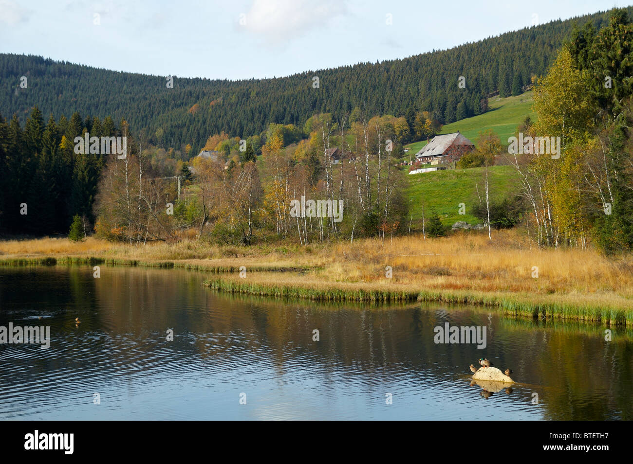 Agriturismo nella Foresta Nera Foto Stock