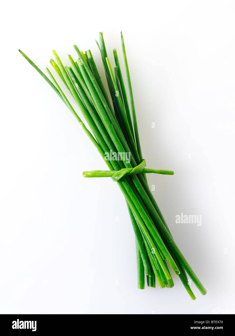 Top Shot di un mazzetto di erba cipollina fresca lascia contro uno sfondo bianco per tagliare Foto Stock