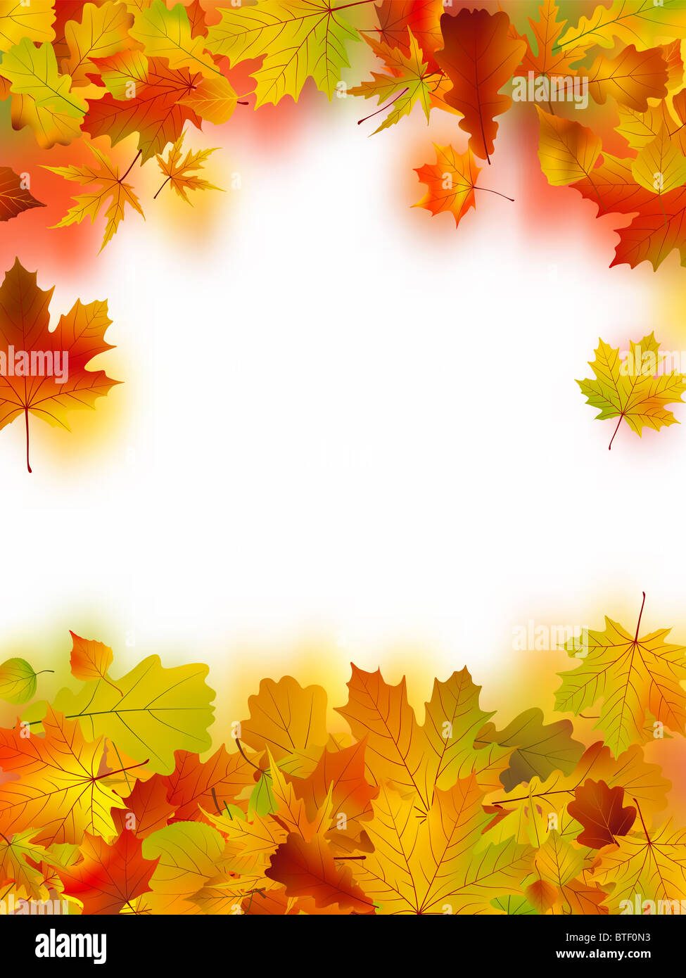 Cornice decorativa da Bright Foglie di autunno Foto Stock
