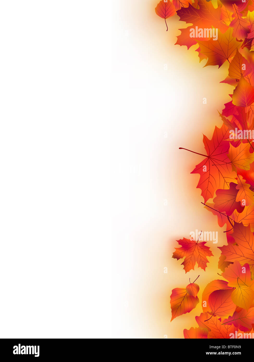 Cornice decorativa da Bright Foglie di autunno Foto Stock