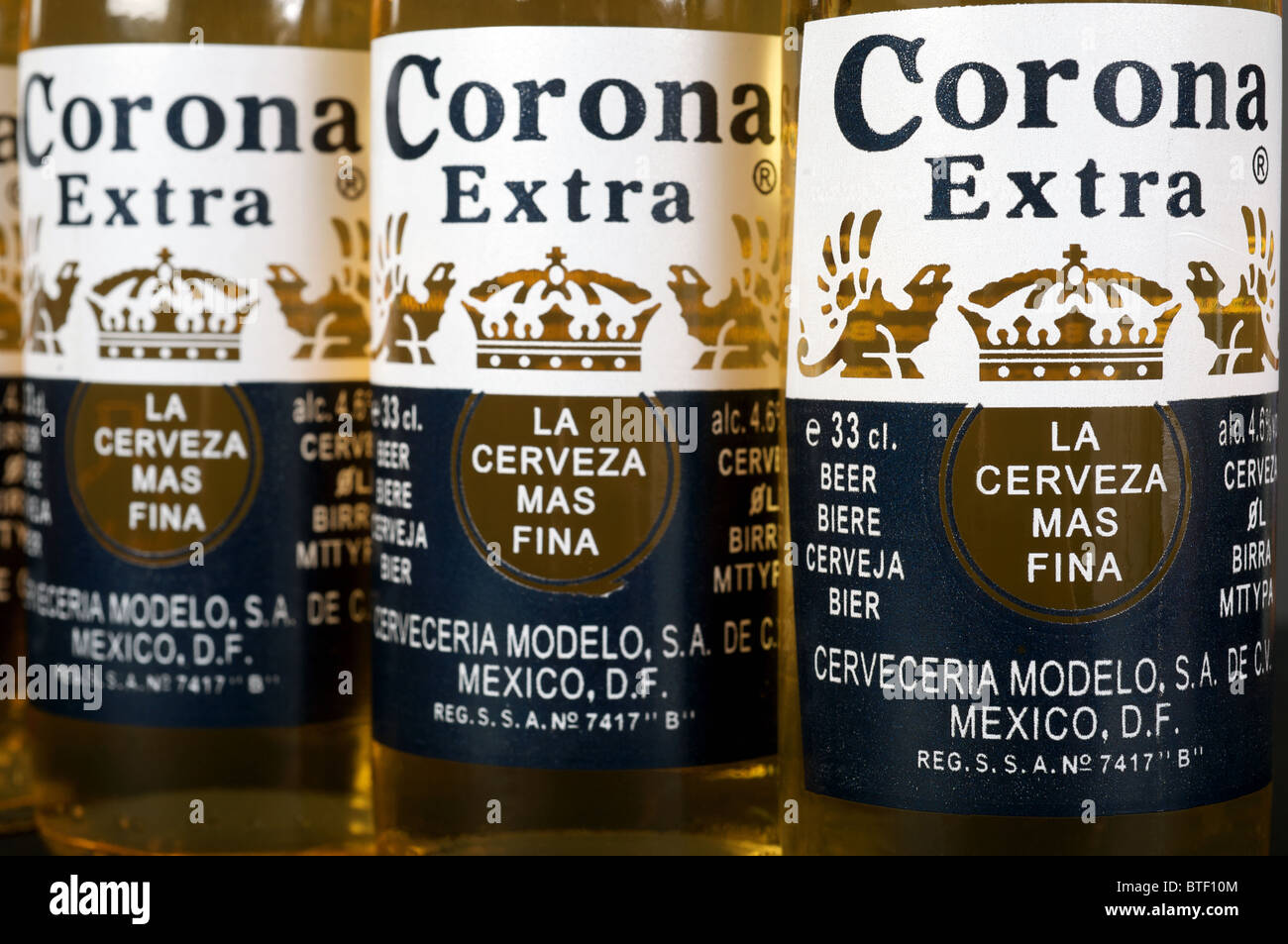 Corona Extra, birra messicana Foto Stock