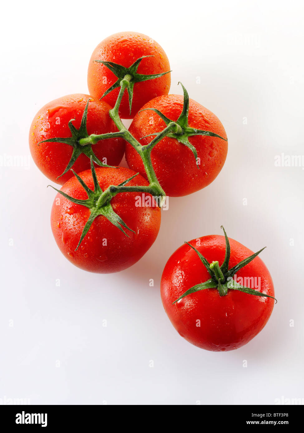 Giubileo pomodori a grappolo Foto Stock