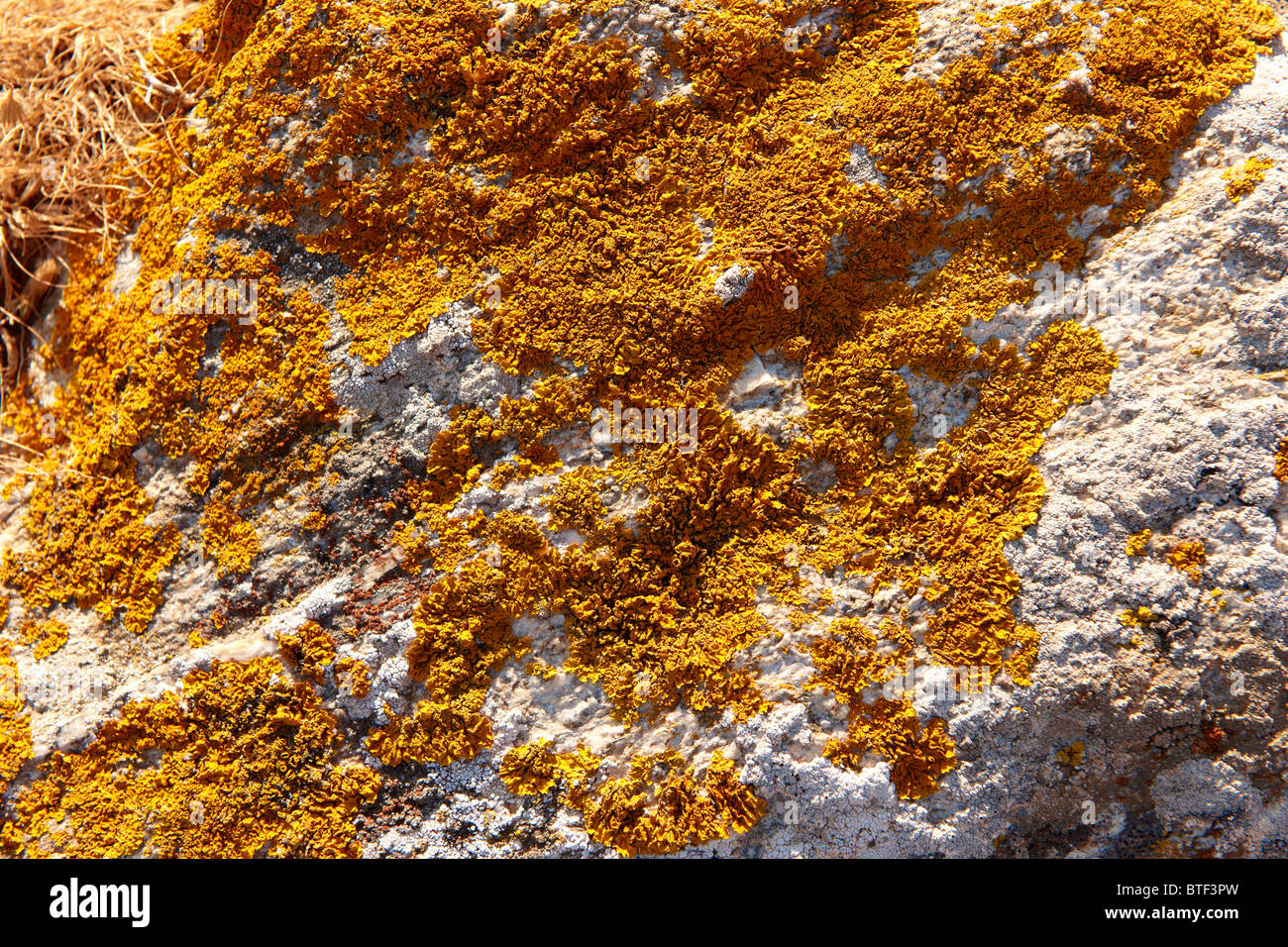 La piena immagine di frame di pietra naturale per sfondo testurizzata Foto Stock