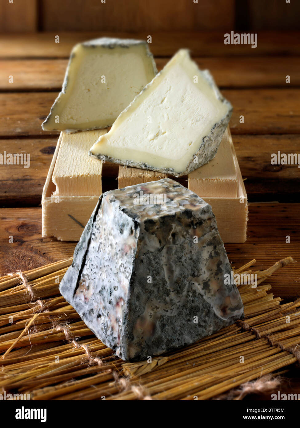 Valencay tradizionale formaggio francese Foto Stock