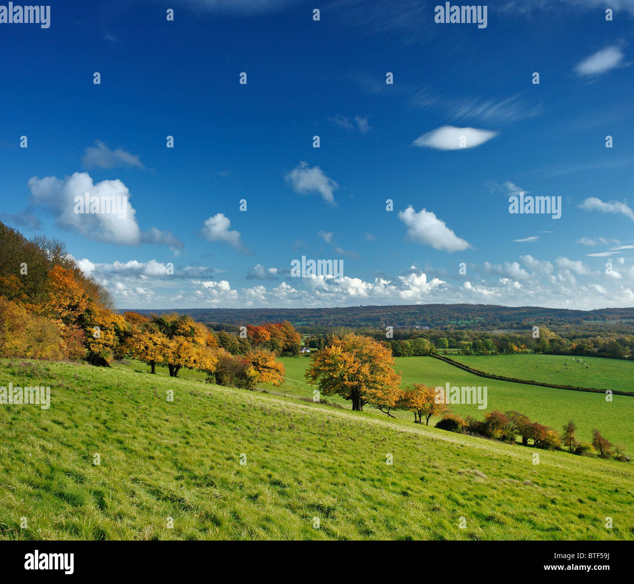 La North Downs Way, Kent. Foto Stock