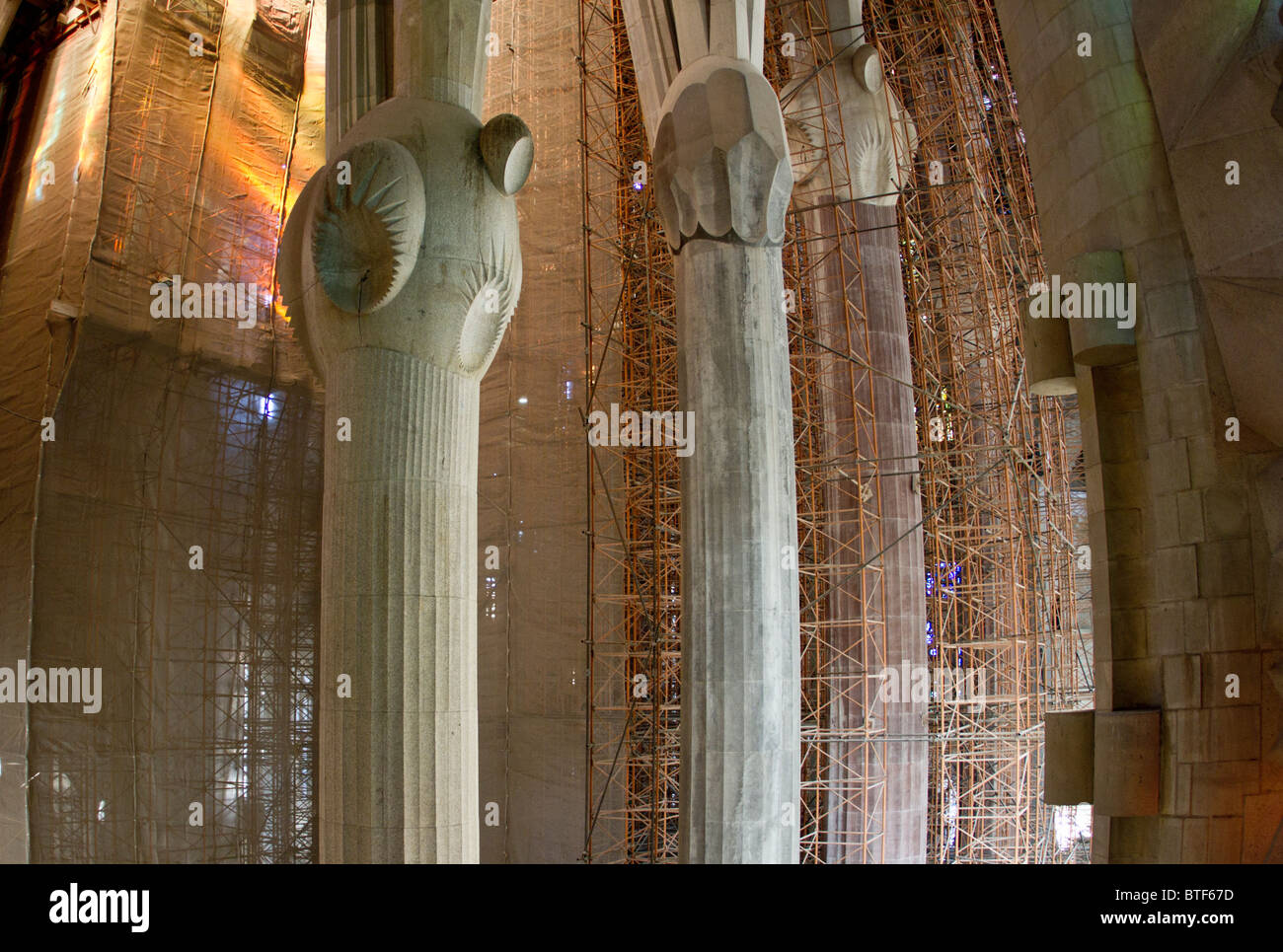 La Sagrada Familia di Gaudi - vista interna che mostra le colonne e i ponteggi Foto Stock