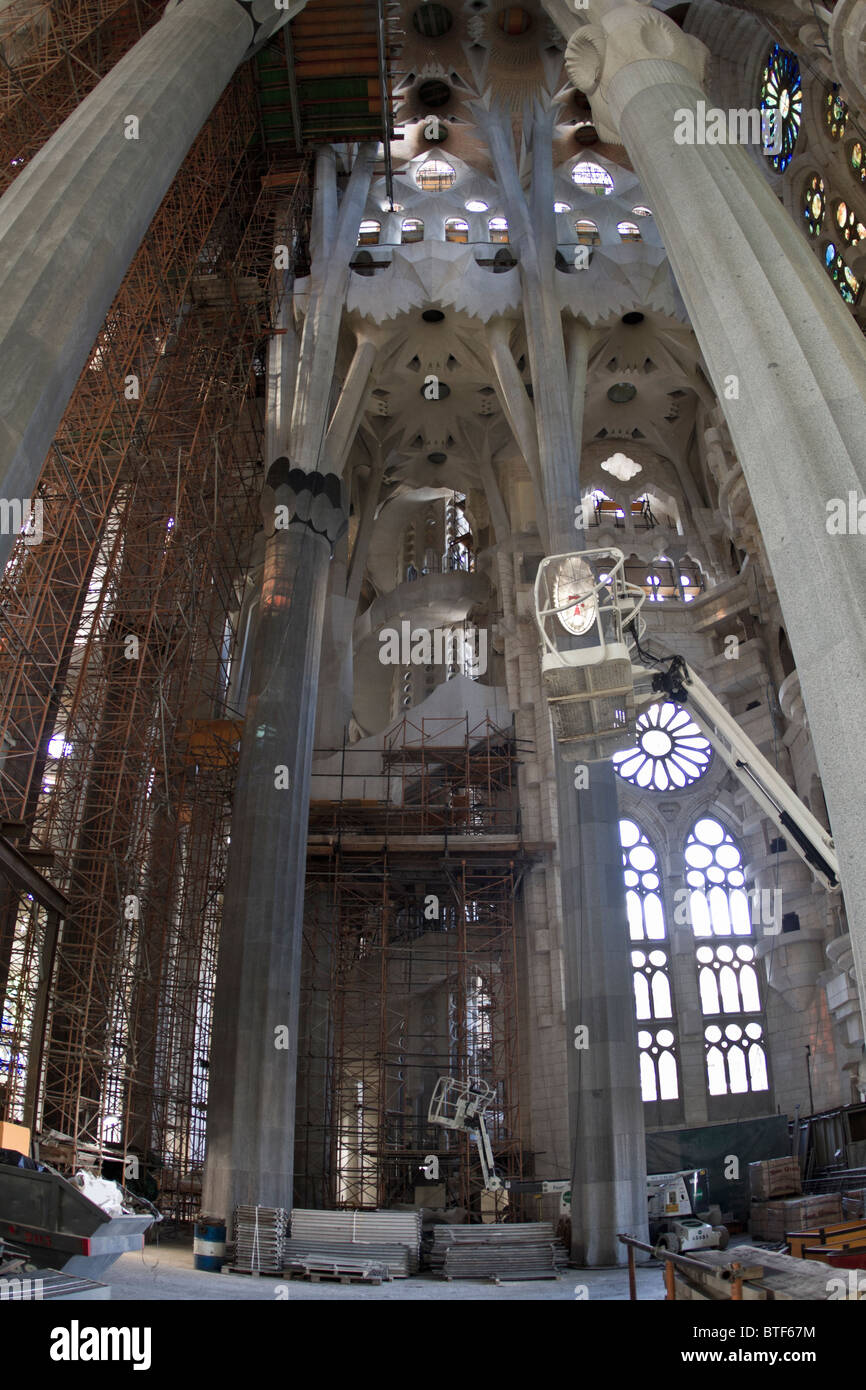 La Sagrada Familia di Gaudi - vista interna della navata centrale che mostra le colonne e i ponteggi Foto Stock