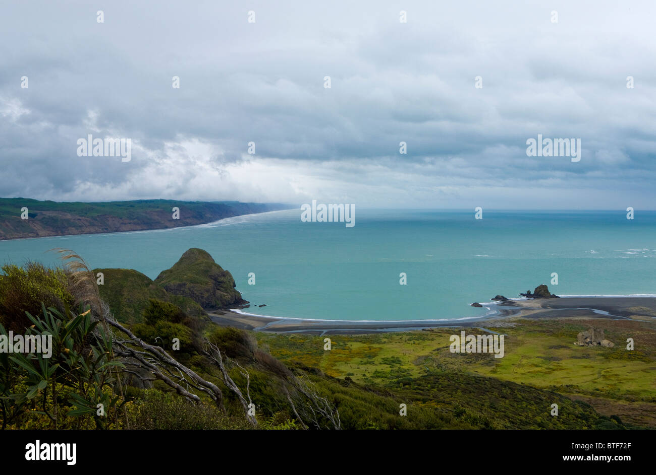 Affacciato sulla spiaggia di Whatipu, Waitakere, Nuova Zelanda Foto Stock