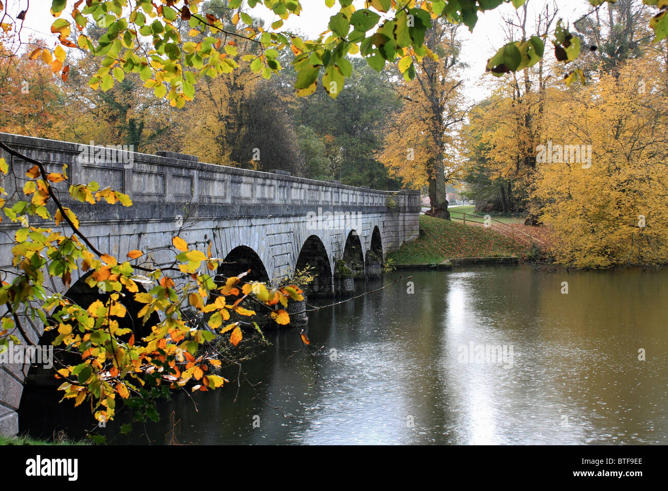 I colori dorati di autunno a Virginia Water, parte del paesaggio Royal Parks vicino a Windsor, in Inghilterra, Regno Unito. Foto Stock