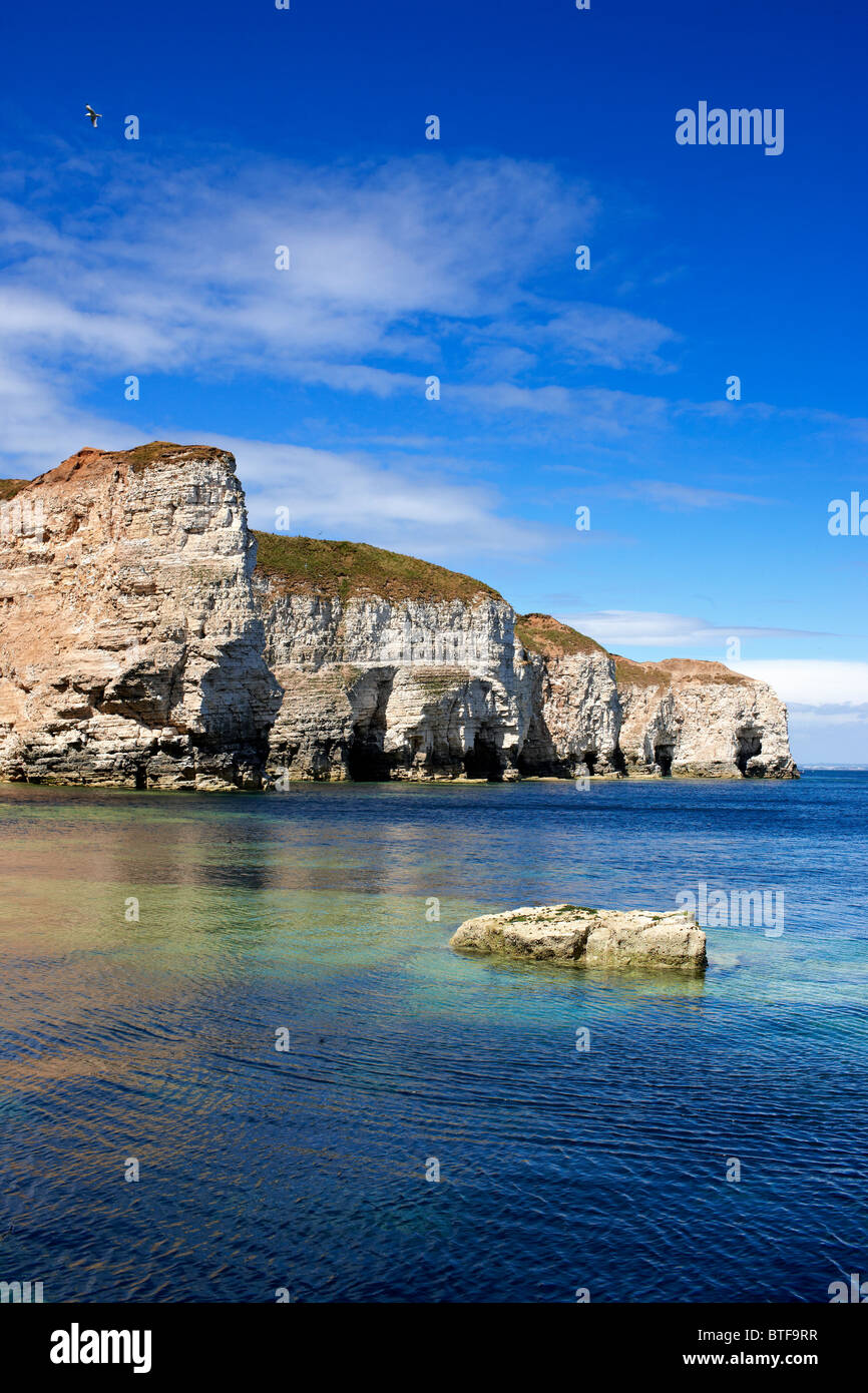 Chalk scogliere tra Bempton e Flamborough, North Yorkshire costa. L'estate. Foto Stock